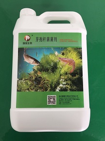 芽孢桿菌菌劑